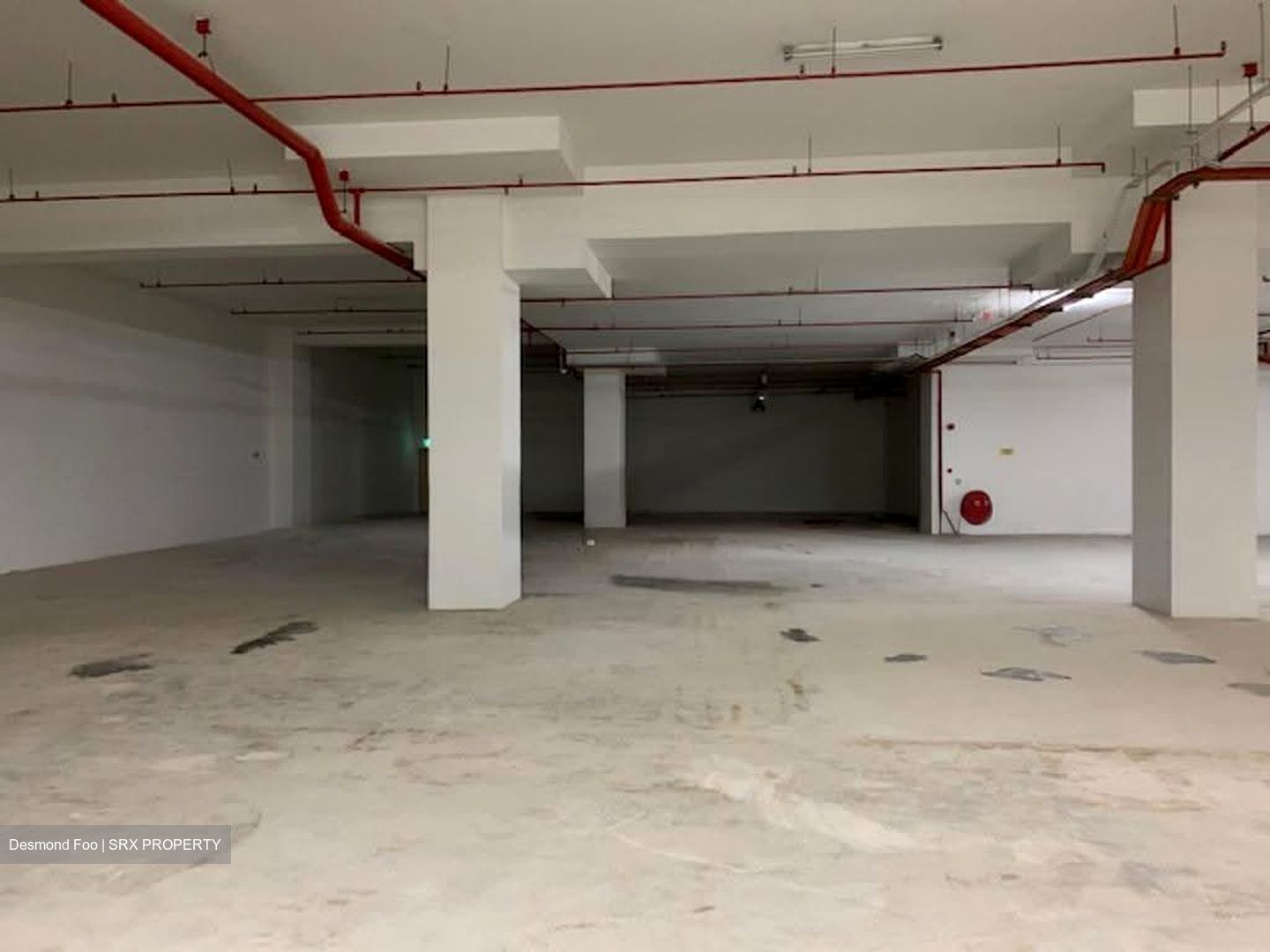 ELEMENT 14 (D19), Warehouse #618312371